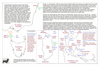 bau37 sydney to tasmania_thumb.gif